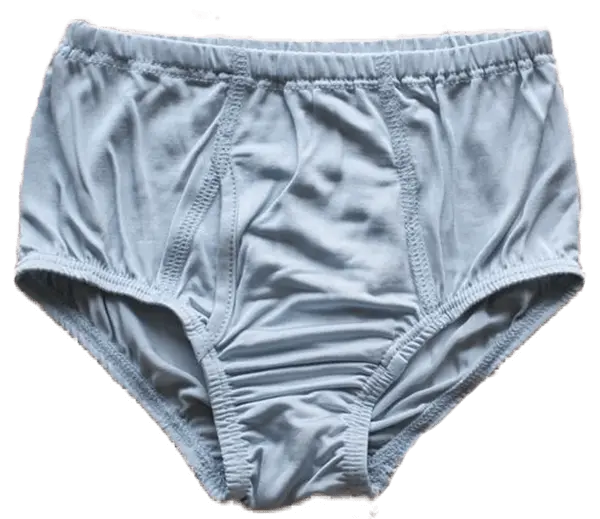 Silk Briefs Boys 100 Mulbery Silk!